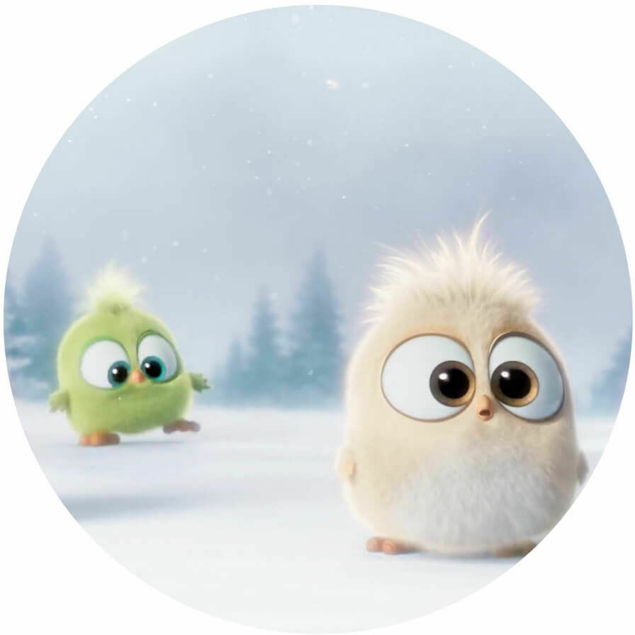 Opłatek na tort Angry Birds Opłatek na tort Angry Birds