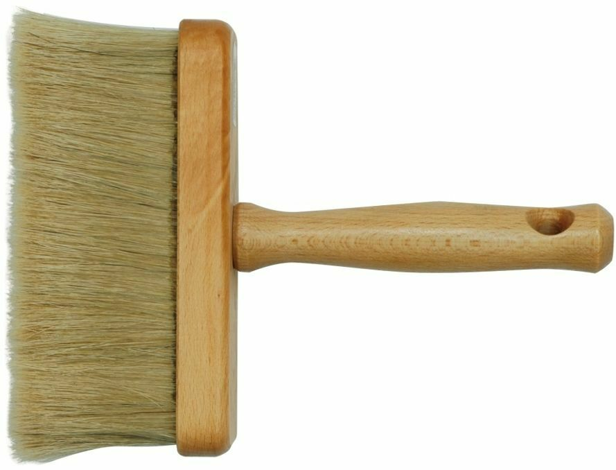 Pędzel ławkowiec Pędzel ławkowiec