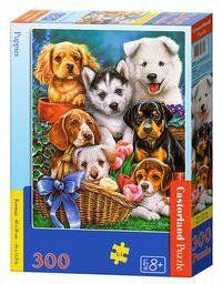 Puzzle 300 Puzzle 300