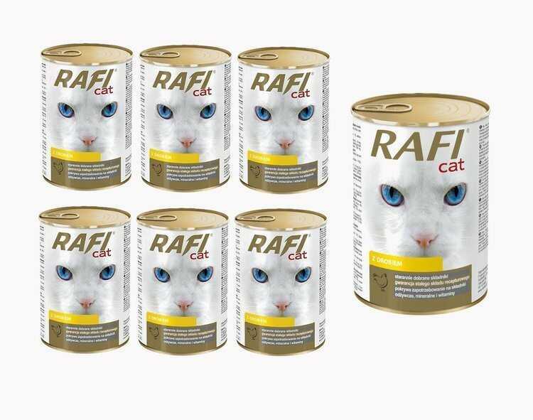 RAFI karma dla kota RAFI karma dla kota