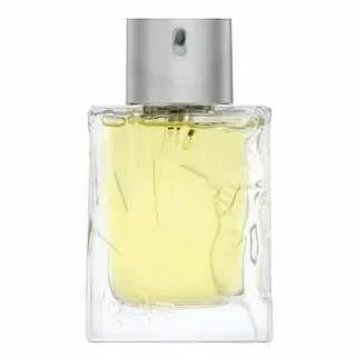 Sisley perfumy męskie Sisley perfumy męskie