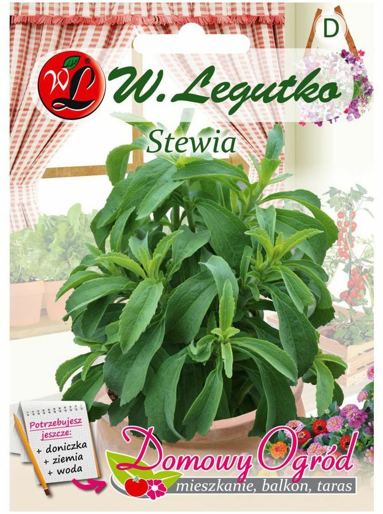 Stewia nasiona Stewia nasiona