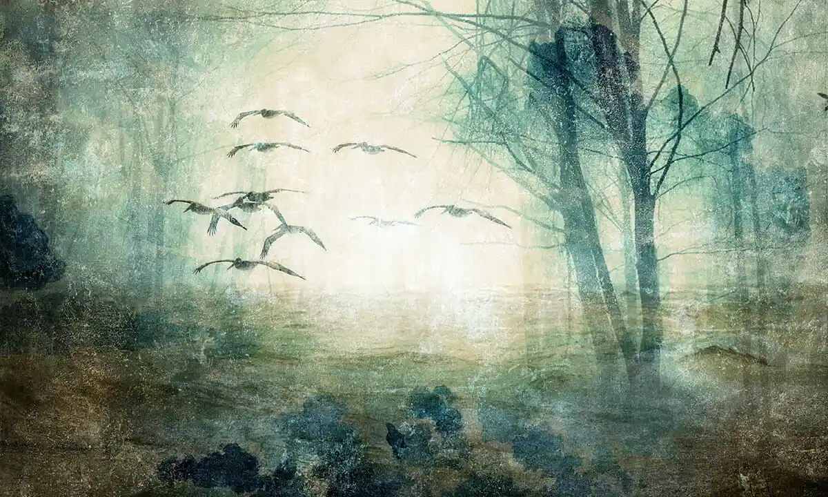 Tapety natura Tapety natura